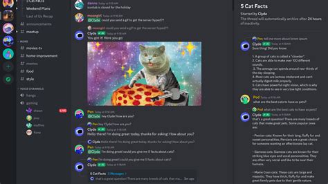 discord .